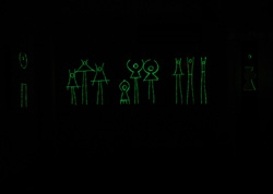 Exhibitions - Image description
